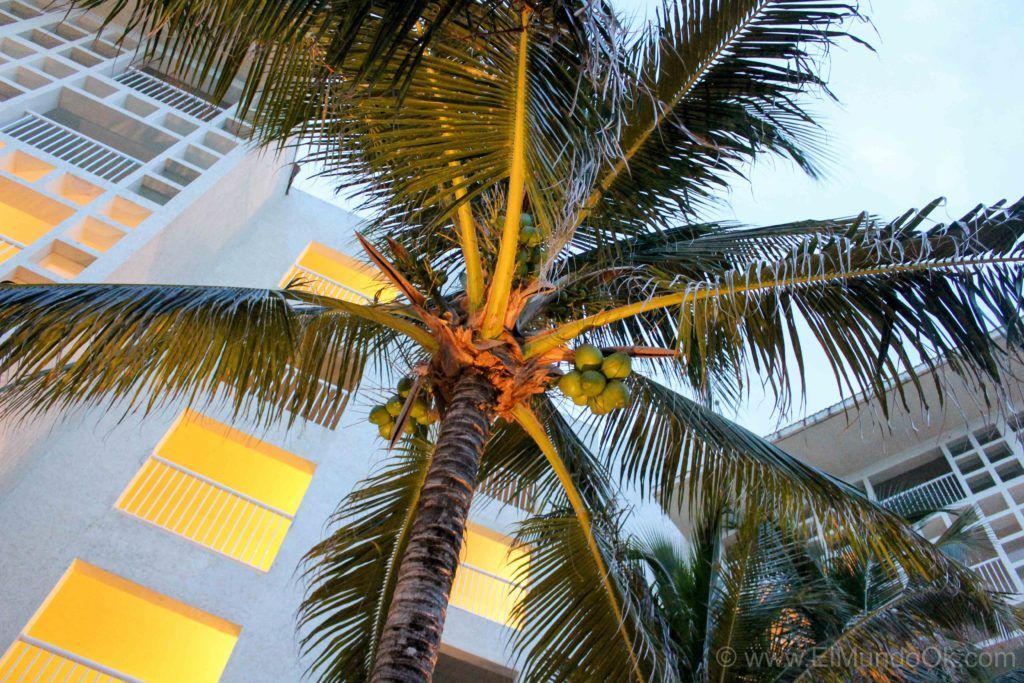 Westin Cancun 2016-38