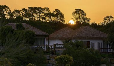 Hotel Selwo Lodge